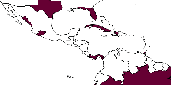 map of Signiphora perpauca     Girault, 1915